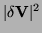 $\vert {\bf\delta V} \vert ^2$