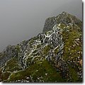 IMG_5288.JPG