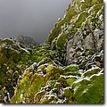 IMG_5290.JPG