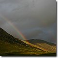 IMG_5375.JPG