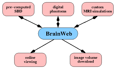 \psfig{figure=figs/brainweb.eps,width=0.85\linewidth}