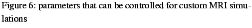 $\textstyle \parbox{0.9\linewidth}{
\figurenum parameters that can be controlled for custom MRI simulations
}$