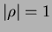 $\vert\rho\vert=1$