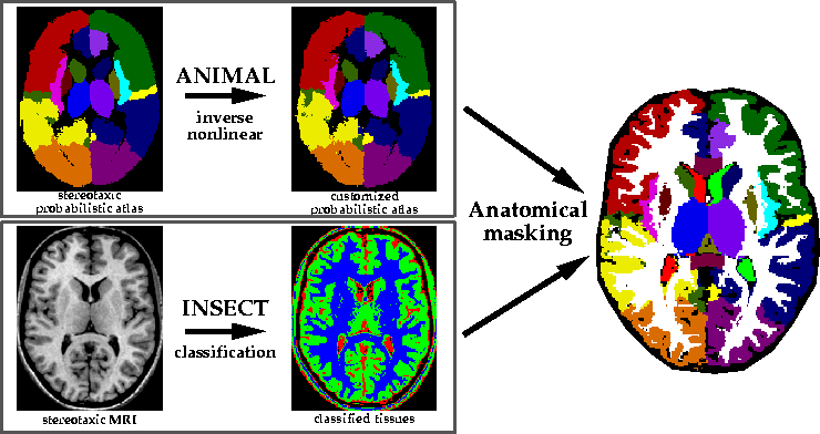 schematic image