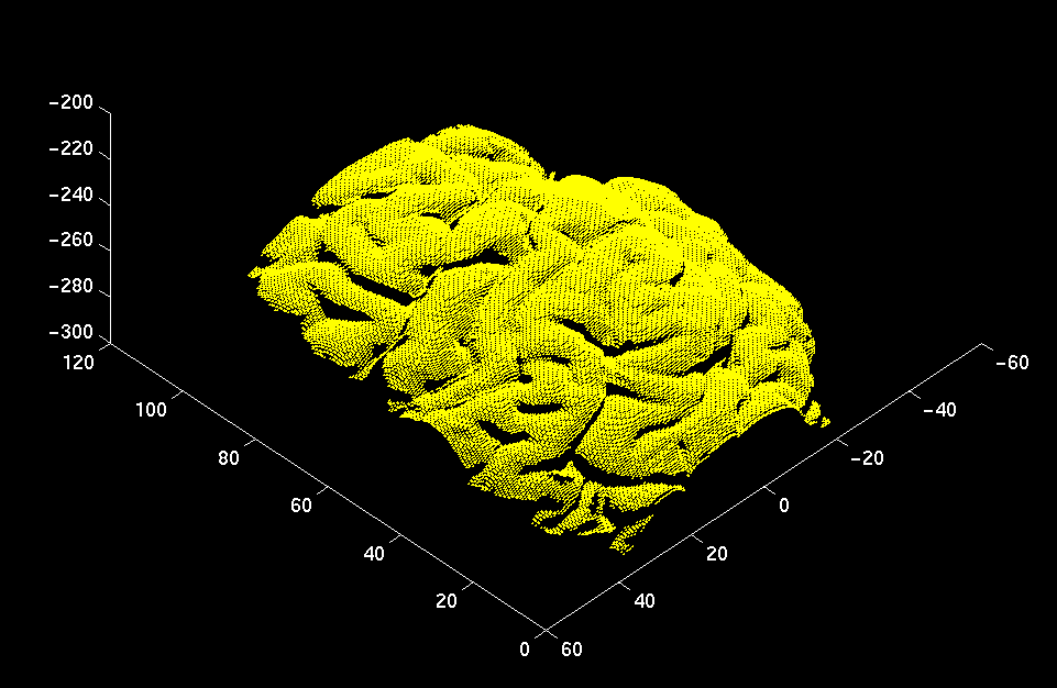 Hemisphere 3d Shape. a human left hemisphere,