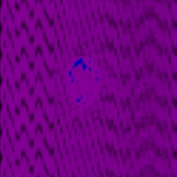 SD Image with a Spike