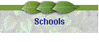 Schools