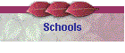 Schools