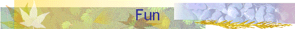 Fun