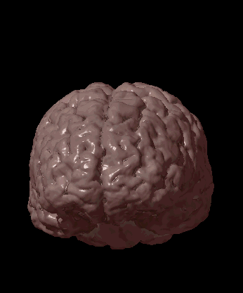 Мозги пульсируют. Головной мозг гиф. Импульсы мозга. Мозги пульсируют. Головной мозг гифка.